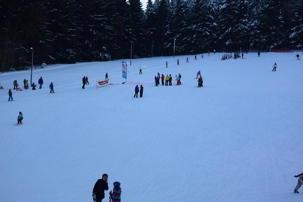 Landhotel Henkenhof Willingen Willingen  Ngoại thất bức ảnh