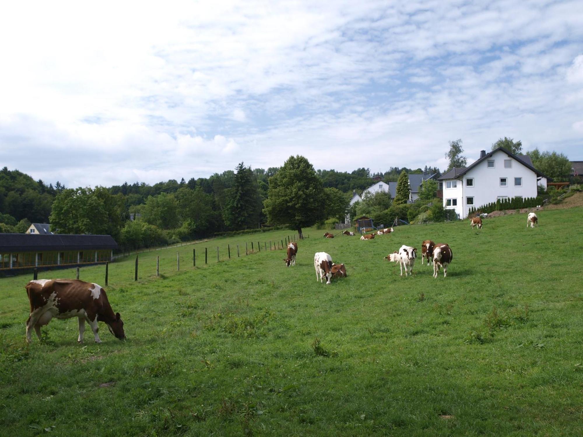Landhotel Henkenhof Willingen Willingen  Ngoại thất bức ảnh