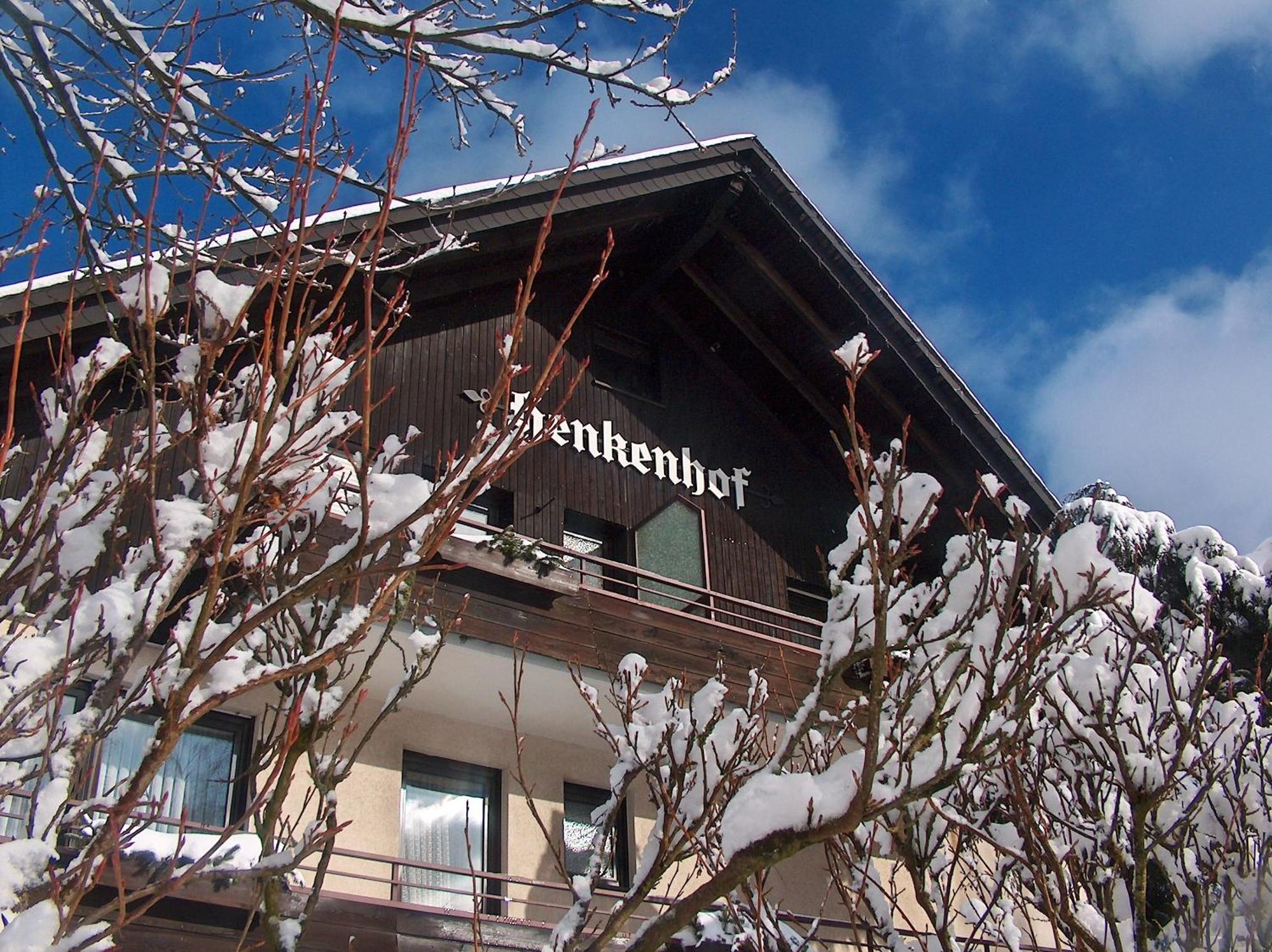Landhotel Henkenhof Willingen Willingen  Ngoại thất bức ảnh